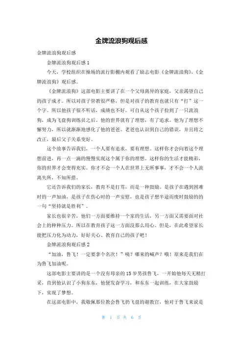 金牌流浪狗观后感_1