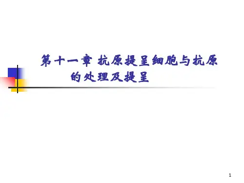 抗原提呈细胞与抗原的处理及提呈(1)PPT