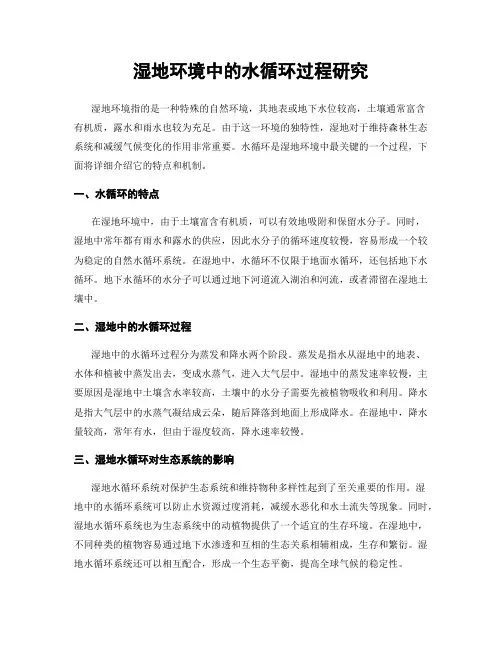 湿地环境中的水循环过程研究