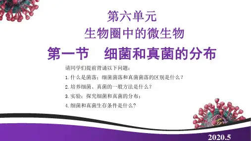 初二生物《细菌和真菌的分布》复习
