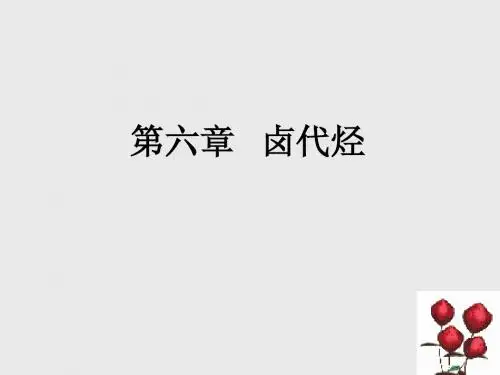 第六章 卤代烃 (2)