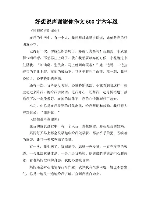 好想说声谢谢你作文500字六年级
