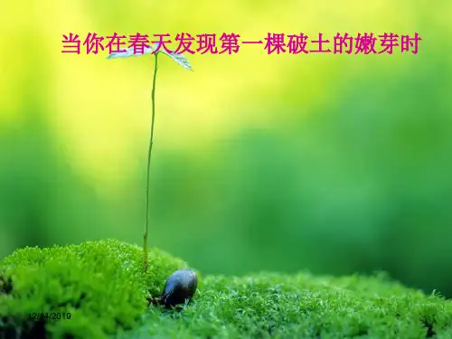 人教版高中语文必修二ppt课件3囚绿记
