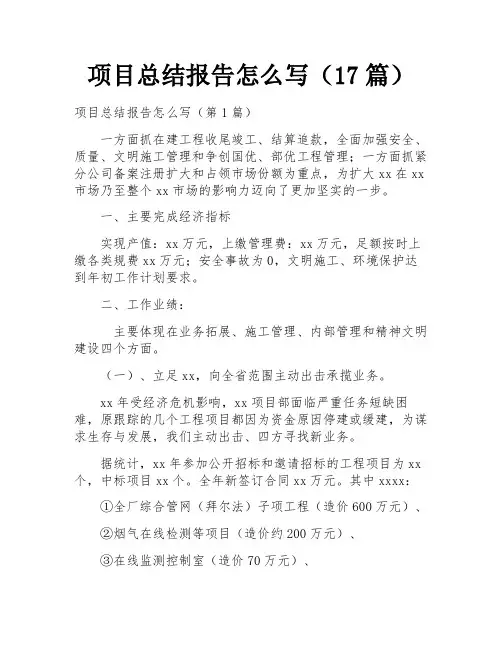 项目总结报告怎么写(17篇)