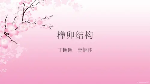 榫卯结构ppt