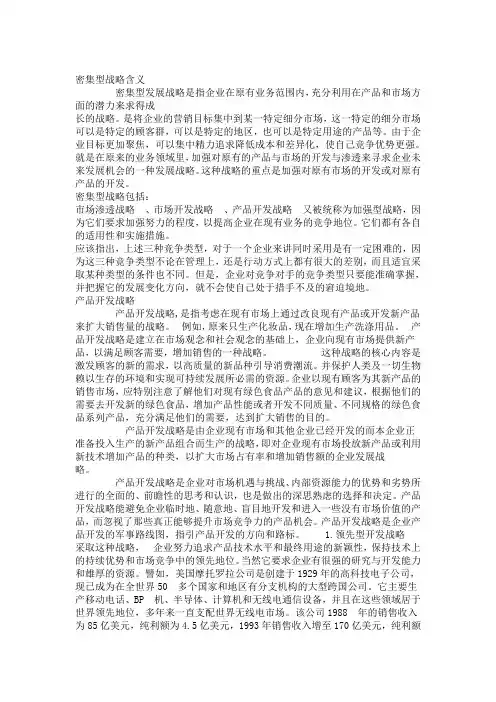 密集型战略
