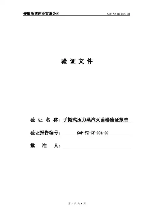 04手提式高压灭菌锅验证报告
