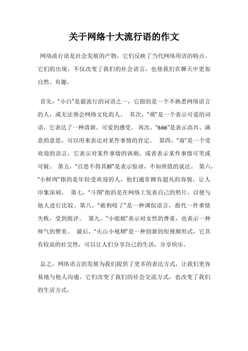 关于网络十大流行语的作文
