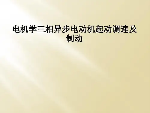 电机学三相异步电动机起动调速及制动