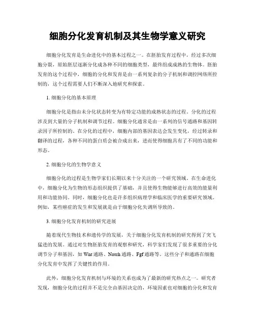 细胞分化发育机制及其生物学意义研究