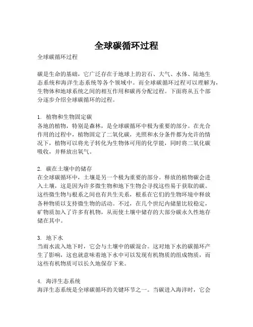 全球碳循环过程