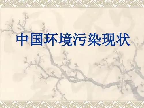 中国环境污染现状[优质PPT]