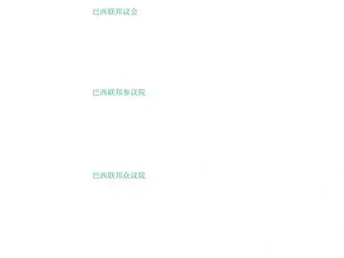5.巴西政府