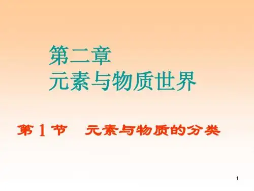 元素与物质的分类课件