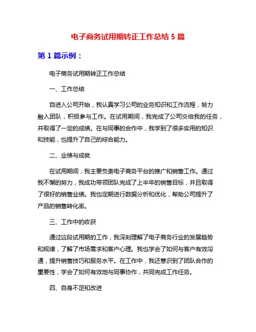 电子商务试用期转正工作总结5篇