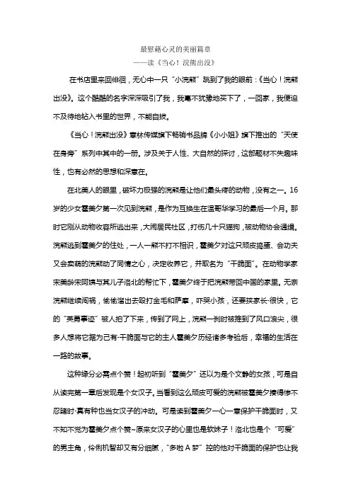 《当心浣熊出没》读后感