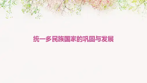 统一多民族国家的巩固与发展(优秀版)