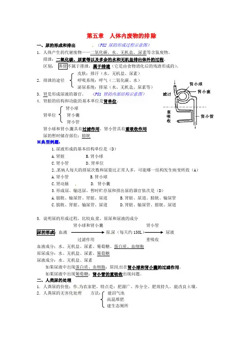 湖北省襄阳市七年级生物下册 4.5 人体内废物的排除知识点 (新版)新人教版