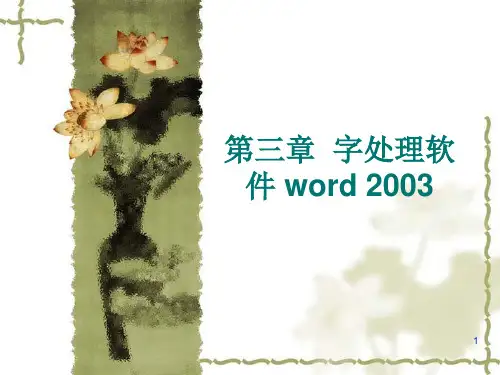 计算机文化基础第三章