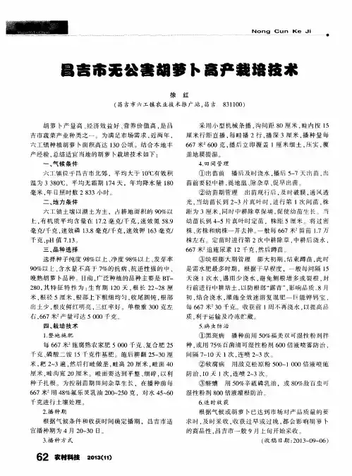 昌吉市无公害胡萝卜高产栽培技术