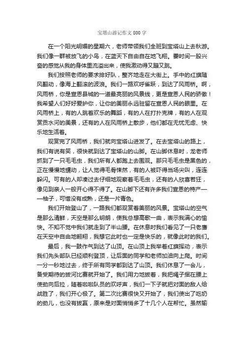 宝塔山游记作文800字_小学六年级游记_