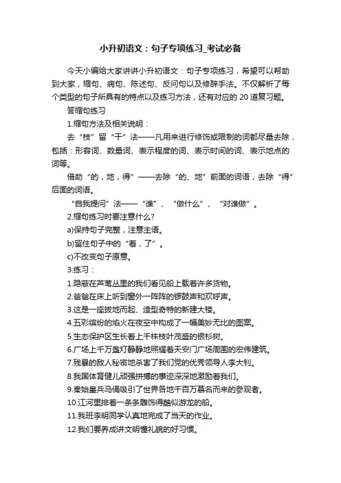 小升初语文：句子专项练习_考试必备