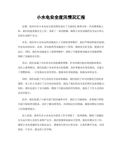小水电安全度汛情况汇报