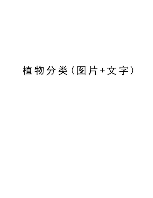 植物分类(图片+文字)学习资料