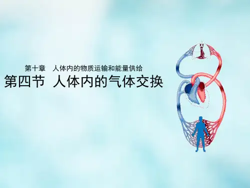 人体内的气体交换++课件-2022-2023学年苏教版生物七年级下册