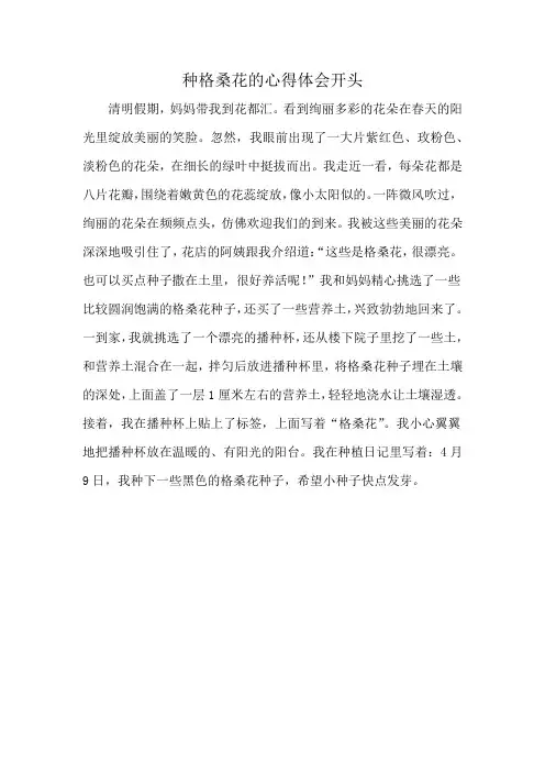 种格桑花的心得体会开头