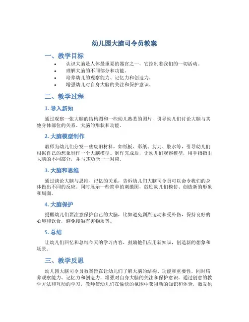 幼儿园大脑司令员教案