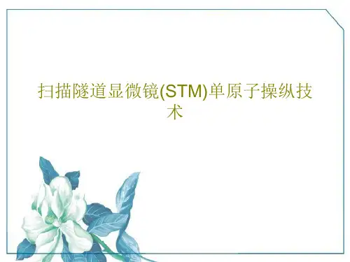 扫描隧道显微镜(STM)单原子操纵技术26页文档