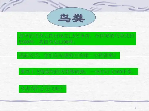 常见的动物浙教版ppt课件