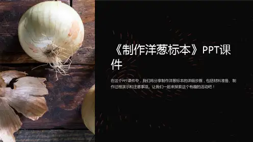 《制作洋葱标本》课件