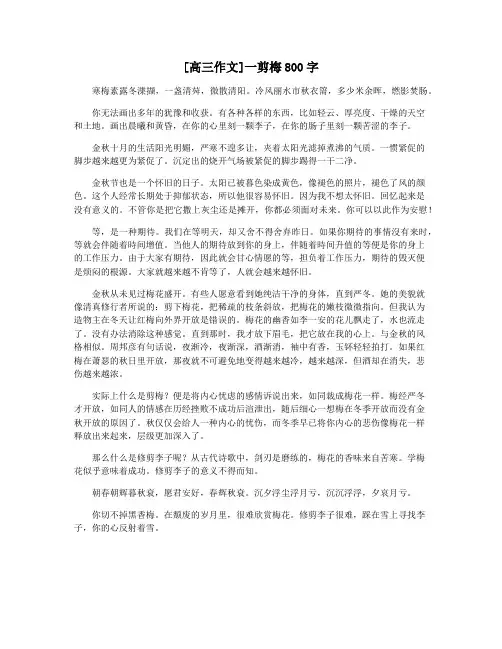 [高三作文]一剪梅800字