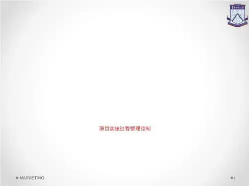 项目实施过程管理控制