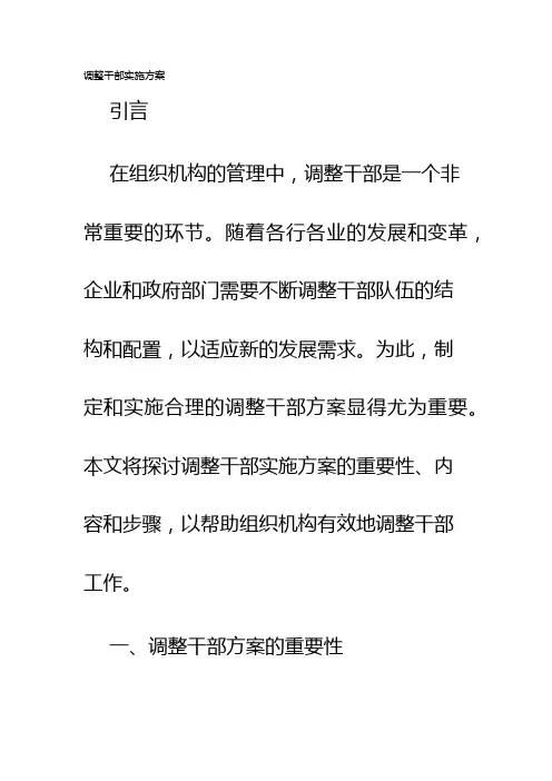 调整干部实施方案