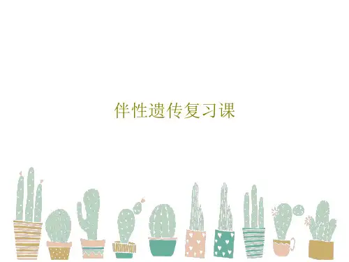 伴性遗传复习课PPT共15页