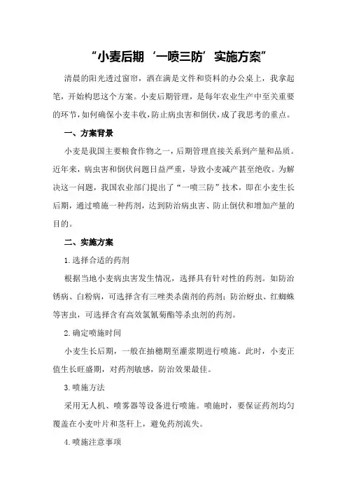 小麦后期“一喷三防”实施方案