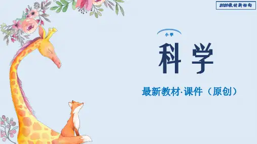 【人教版】2020春季最新小学科学四年级上册：3.3认识我们的地球
