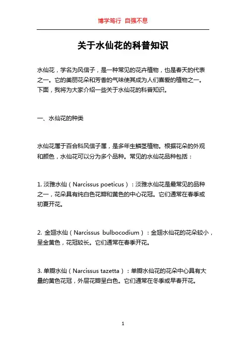 关于水仙花的科普知识