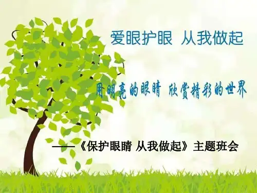 学生体质管理《保护眼睛》近视防控主题班会PPT课件