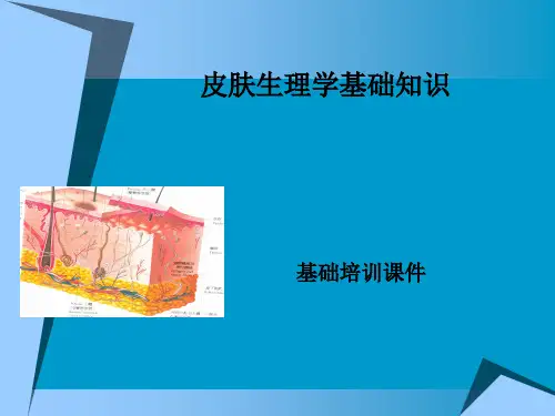 皮肤生理学