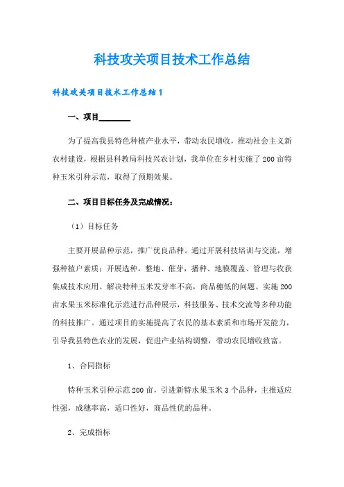 科技攻关项目技术工作总结