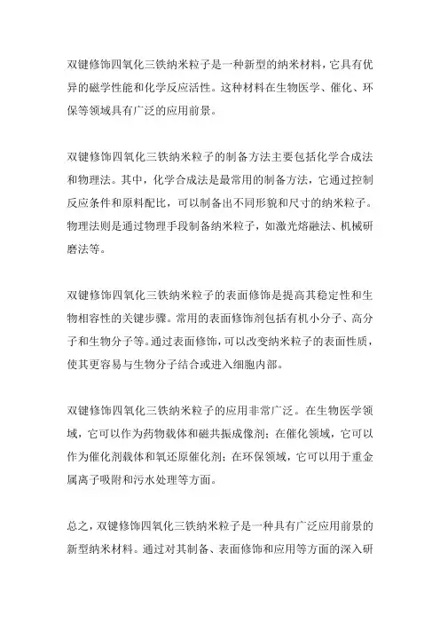双键修饰四氧化三铁纳米粒子