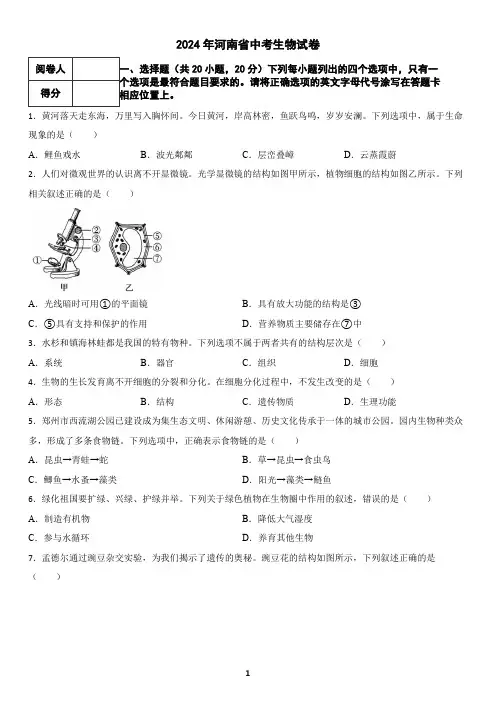 2024年河南省中考生物试卷(含答案)