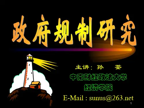 经济性规制 政府规制研究