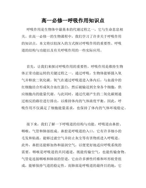 高一必修一呼吸作用知识点