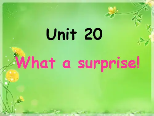 青少版新概念1B_unit20__what_a_surprise!精品PPT课件