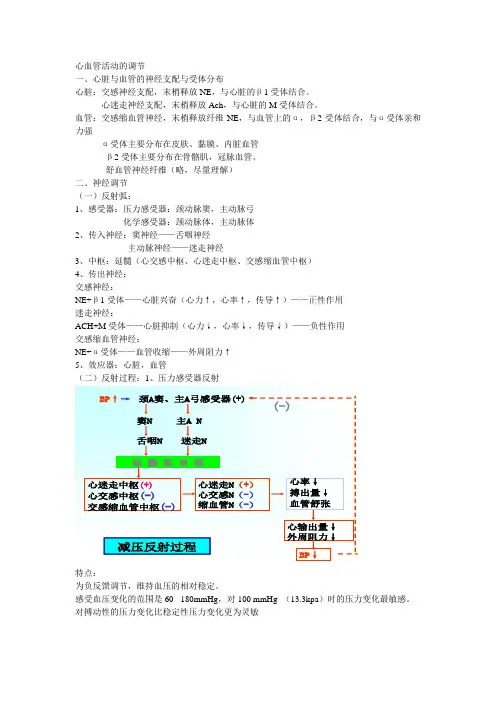 心血管活动的调节